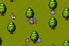 Breath of Fire II